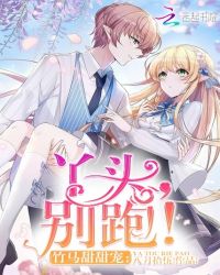 ���������:Ѿͷ,���ܣ�