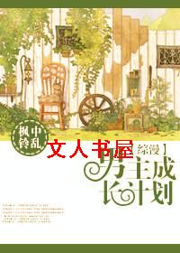 �����ɳ��ƻ�