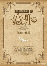 傲慢与偏见之意外封面