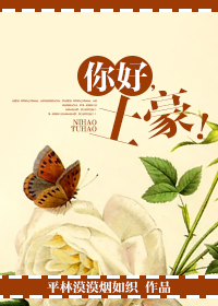 你好,土豪!封面